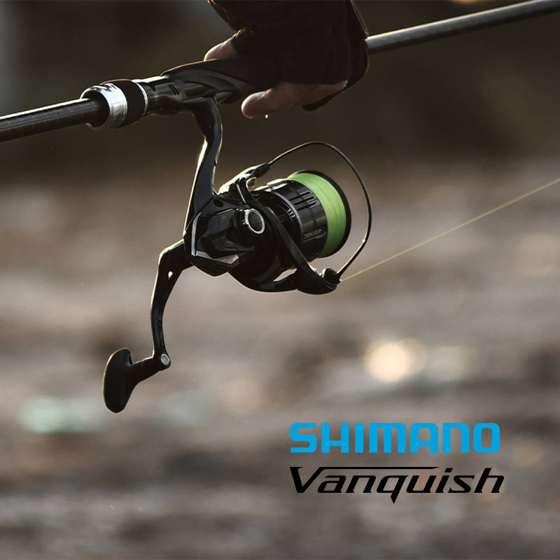 Shimano 23 Vanquish Origin Fis - Daiwa Reel Fuego review and price